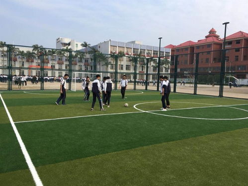 【貴州足球場(chǎng)圍網(wǎng)安裝標(biāo)準(zhǔn)】- 