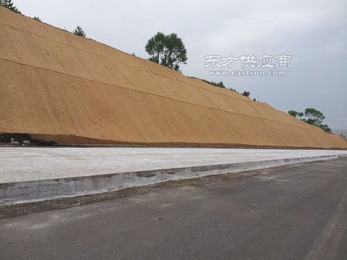 護坡綠化防水毯 五層加筋植生毯 植物防水毯 廠家