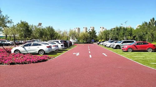 呼和浩特首個 真草坪上的停車場 對市民免費(fèi)開放,看看是哪里