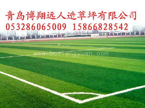 足球場人造草坪鋪裝施工方法 足球場人造草坪價格 足球場人造草坪廠家