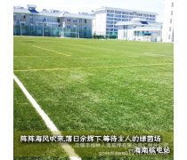 人造草足球場地優質商家置頂推薦產品