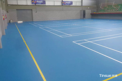 國外案例推薦| 塞浦路斯手球、羽毛球混合場地賞析