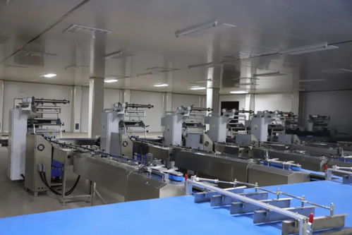 邱縣開(kāi)展重點(diǎn)項(xiàng)目觀摩活動(dòng)并召開(kāi)全縣重點(diǎn)項(xiàng)目推進(jìn)會(huì)