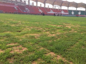 建業主場場地狀況糟糕 草皮斑禿屢現沙坑7009690