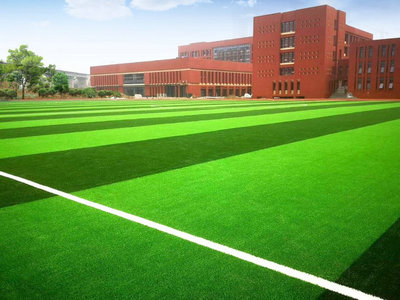 威騰免填充人造草坪系統入選國際足聯(FIFA)創新計劃項目