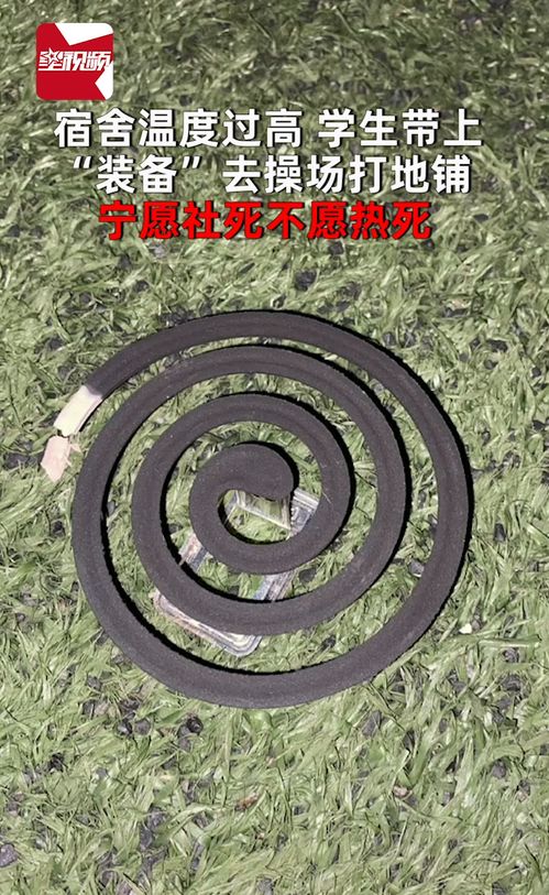 宿舍溫度過高,學(xué)生帶上 裝備 去操場打地鋪 寧愿社死不愿熱死